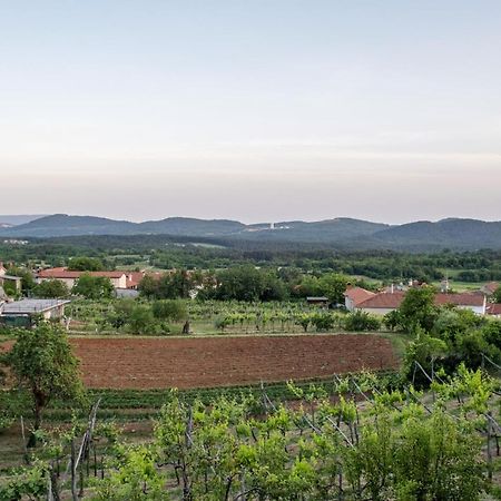 Apartma Oddih Dutovlje Exteriér fotografie