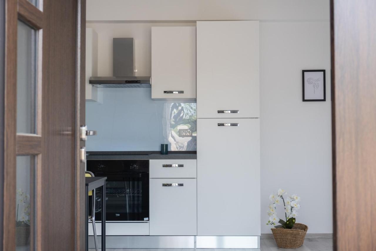 Apartma Oddih Dutovlje Exteriér fotografie