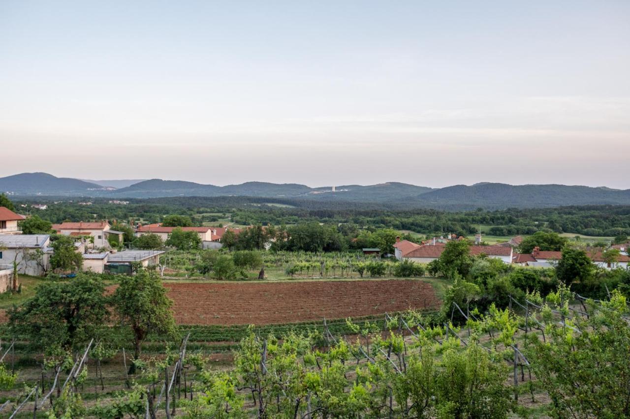 Apartma Oddih Dutovlje Exteriér fotografie
